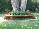 Tree Bench Seating